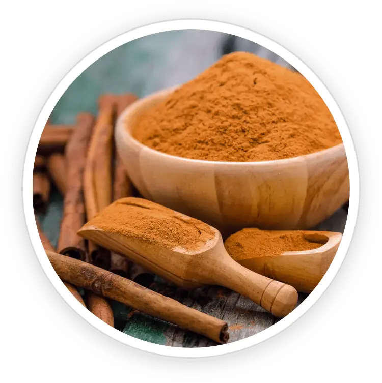 Natural Cinnamon Extract FortBite ingredient