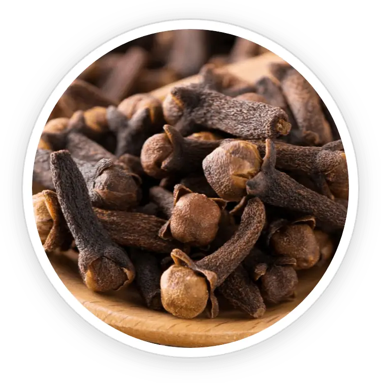 Clove FortBite ingredient