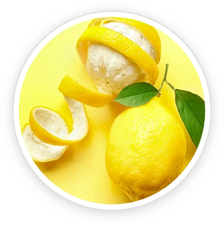 Peppermint FortBite ingredient