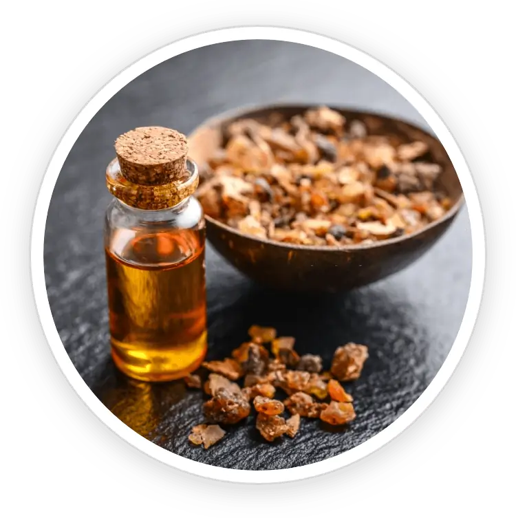 Myrrh FortBite ingredient